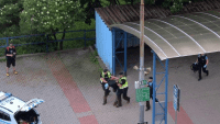 policie jn3